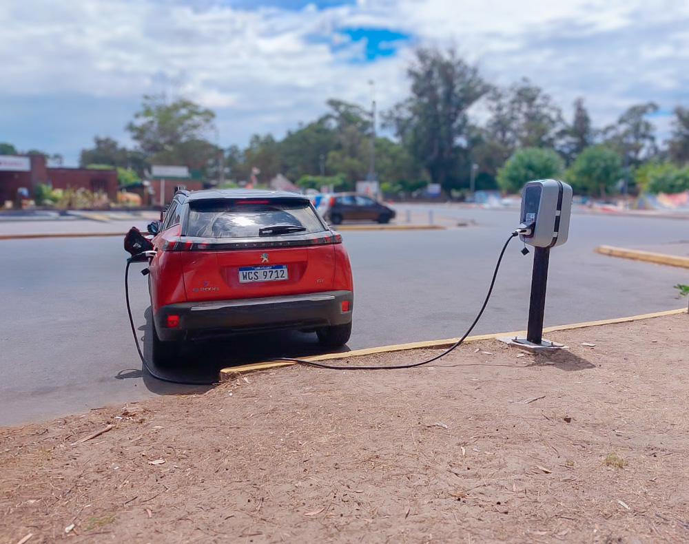 carga electrica